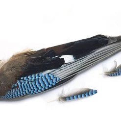 Veniard Blue Jay Hackles