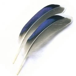 Turrall Wing Quills