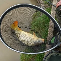 Korum Phase 1 Spoon Net Coarse/Carp