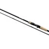 Shimano Expride Casting Rod Sea
