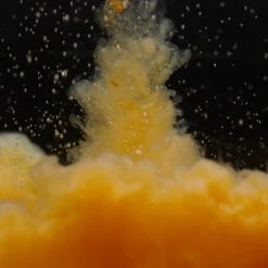 Sticky Baits Pure Calanus Liquid