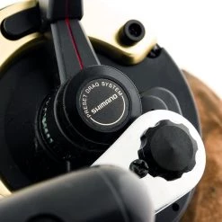 Sea Shimano TLD 2 Speed Boat Reel