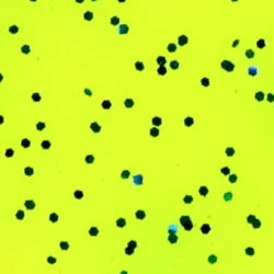 Flybox Textreme Pike Tail Vinyl 4 Flybox Textreme Pike Tail Vinyl