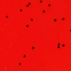 Flybox Textreme Pike Tail Vinyl 10 Flybox Textreme Pike Tail Vinyl