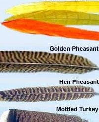 Fly Tying Turrall Tails