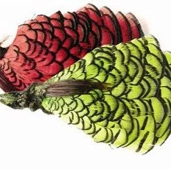 Veniard Amherst Pheasant Complete Head