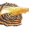 Veniard Golden Pheasant Complete Head
