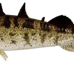 Westin Stanley The Stickleback Soft Lures Predator