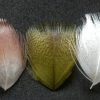 Turrall Mallard Breast Fly Tying