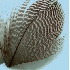 Turrall Teal Flank Fly Tying